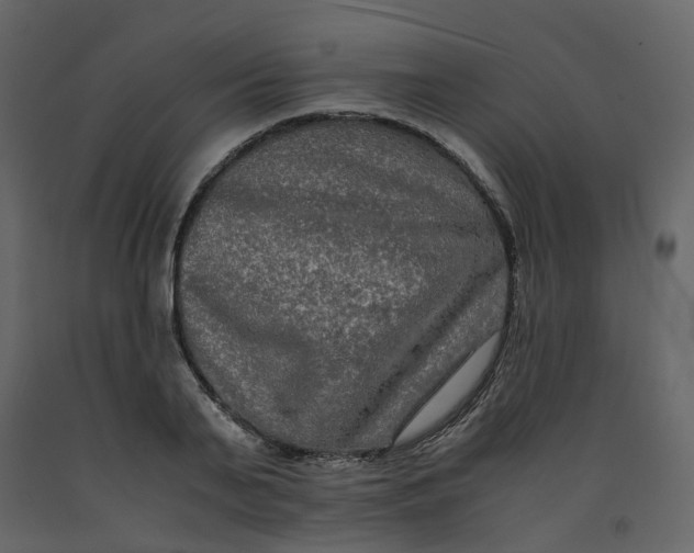 X0000092250791200710051258