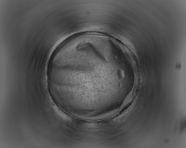 X0000092250792200710051258