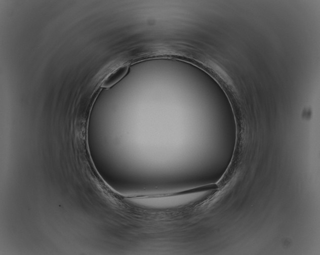 X0000092250793200710051258