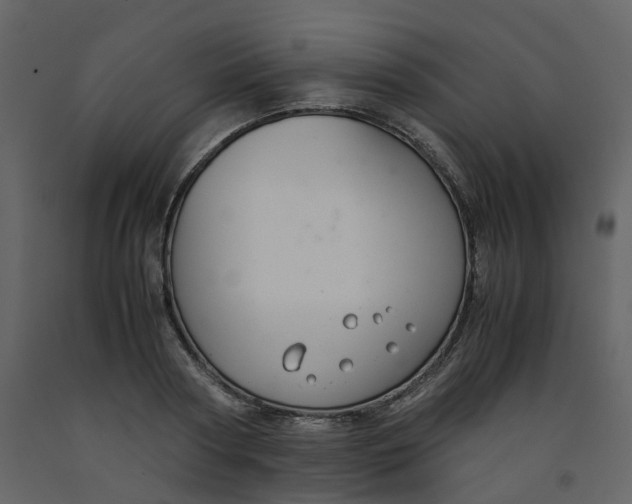 X0000092250794200710051258