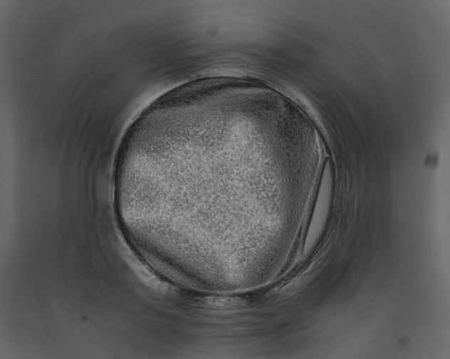 X0000092250795200710051257