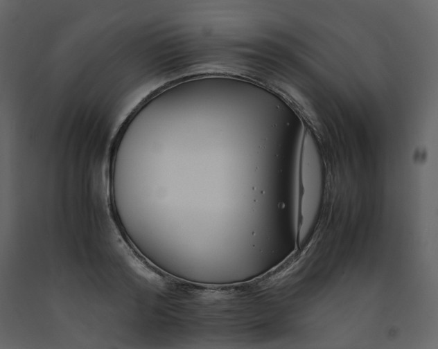 X0000092250796200710051257