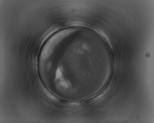 X0000092250798200710051257