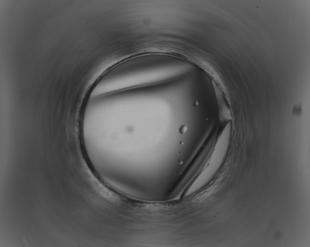 X0000092250803200710051257