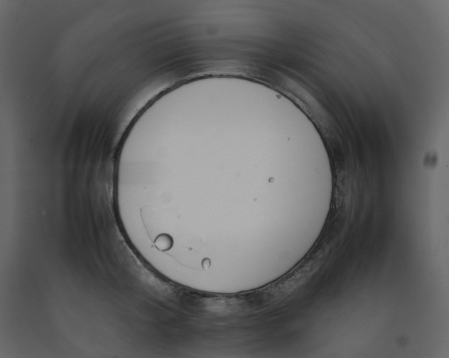 X0000092250804200710051257