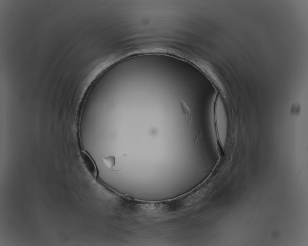 X0000092250805200710051257