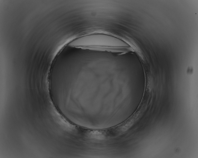 X0000092250806200710051257