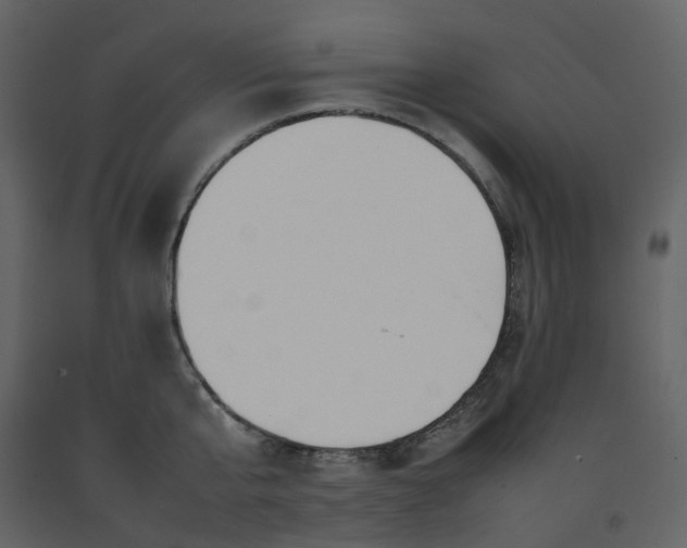 X0000092250807200710051257