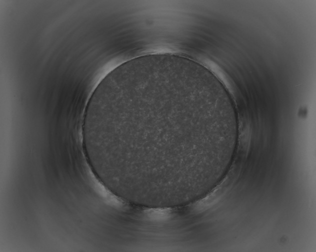 X0000092250810200710051257