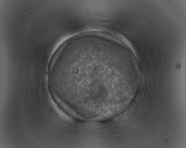 X0000092250811200710051257