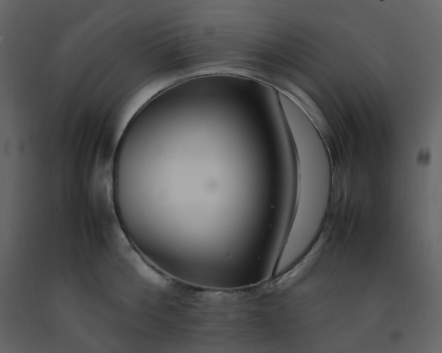 X0000092250812200710051257