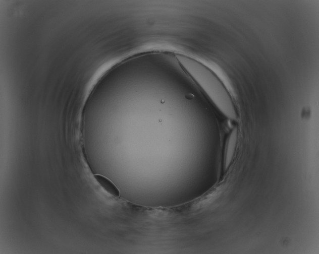 X0000092250815200710051257