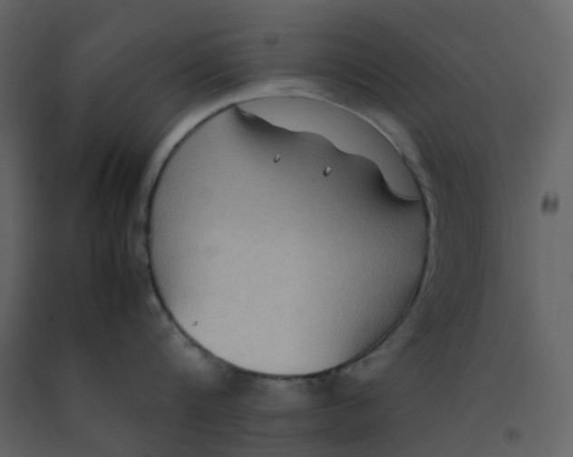 X0000092250816200710051257