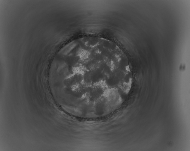 X0000092250817200710051257