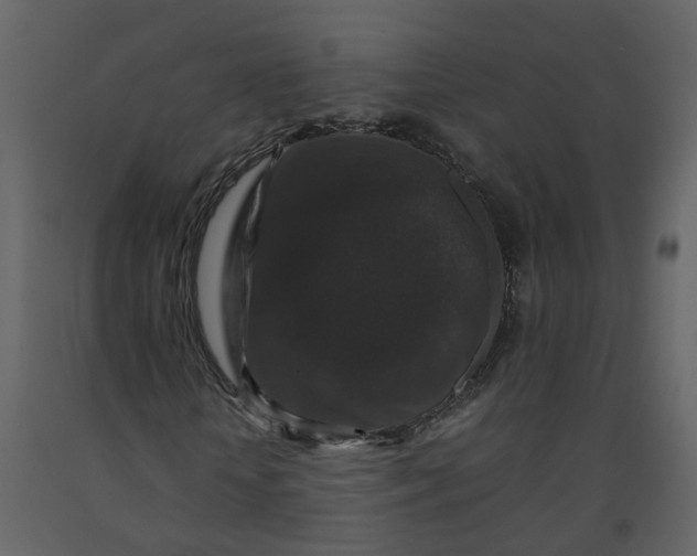 X0000092250818200710051257