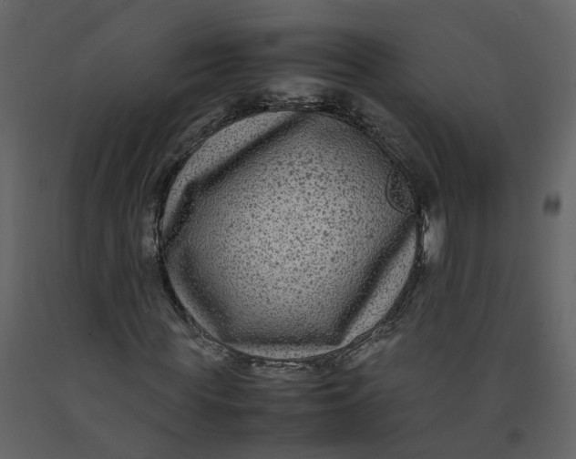 X0000092250819200710051257