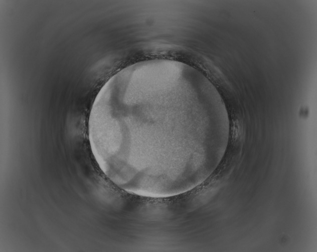 X0000092250820200710051257