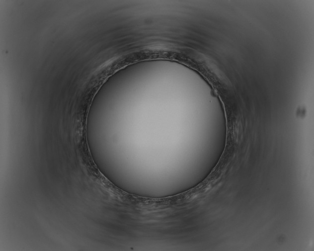 X0000092250821200710051257