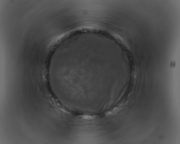 X0000092250822200710051257