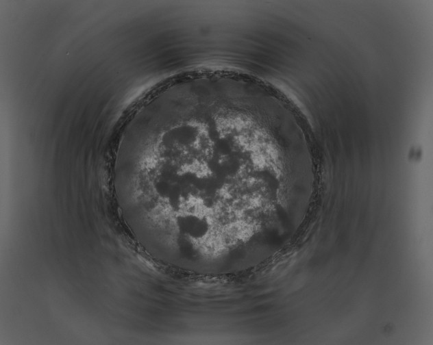 X0000092250823200710051257