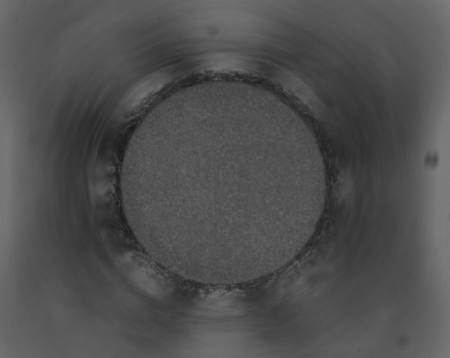 X0000092250824200710051257