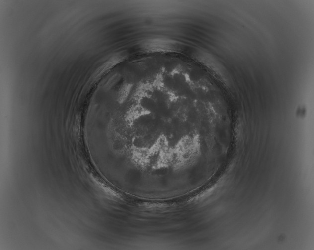 X0000092250825200710051257