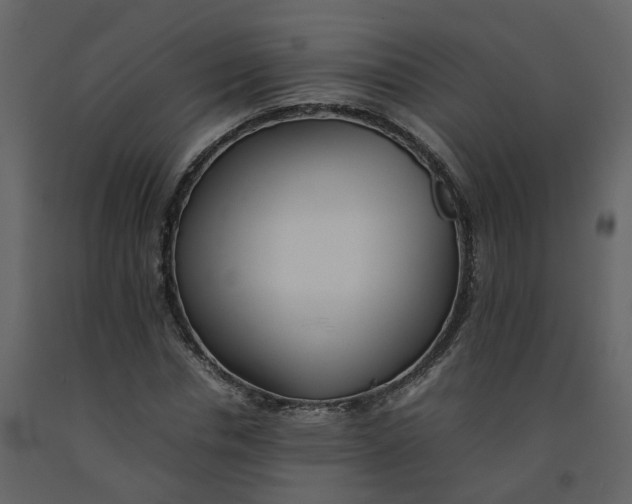 X0000092250826200710051257