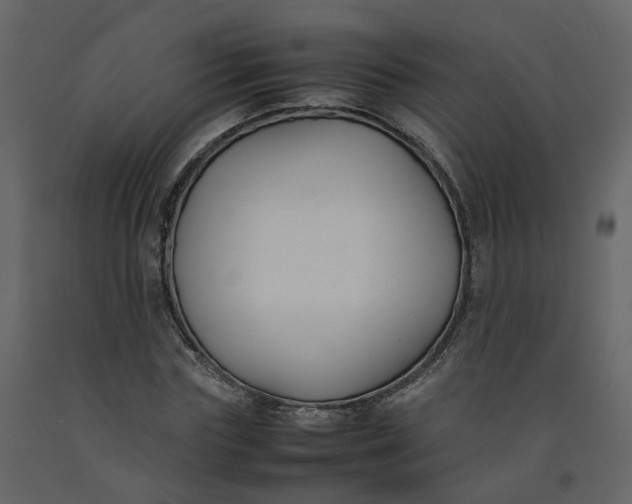 X0000092250827200710051257