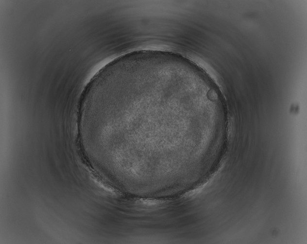 X0000092250829200710051257