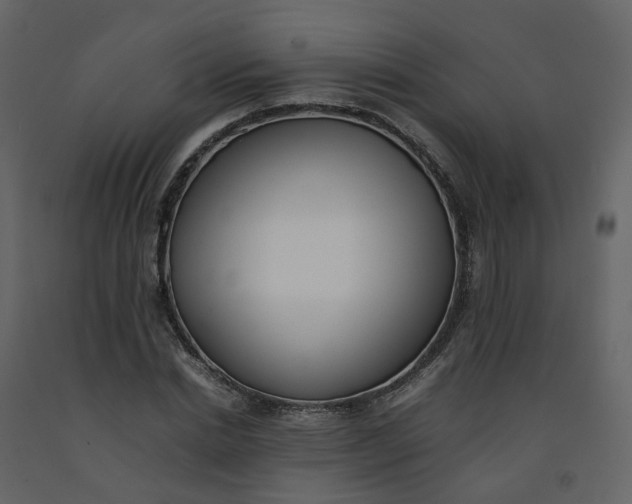 X0000092250830200710051257