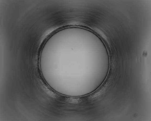 X0000092250831200710051257