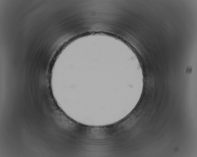 X0000092250832200710051257