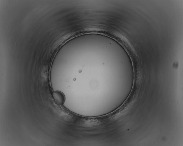 X0000092250833200710051257