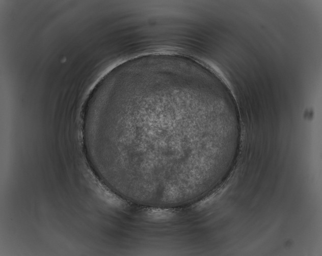 X0000092250835200710051257