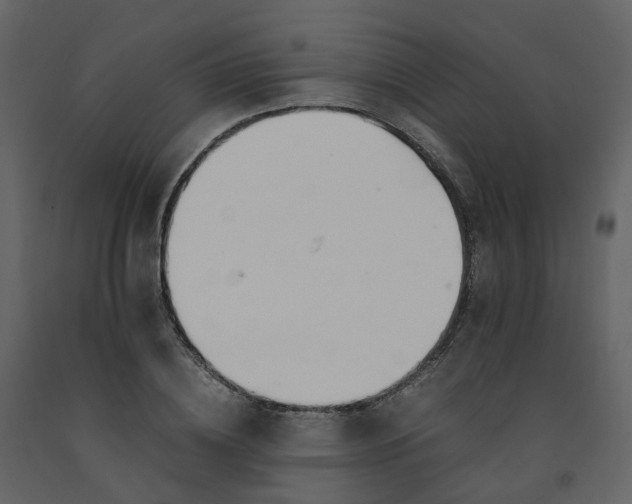 X0000092250836200710051257