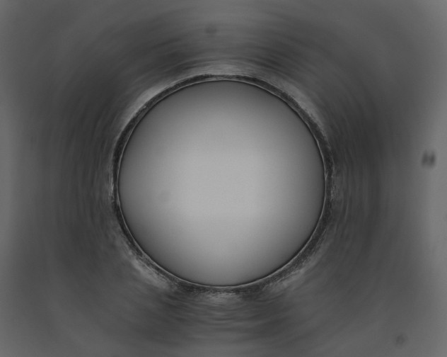 X0000092250837200710051257