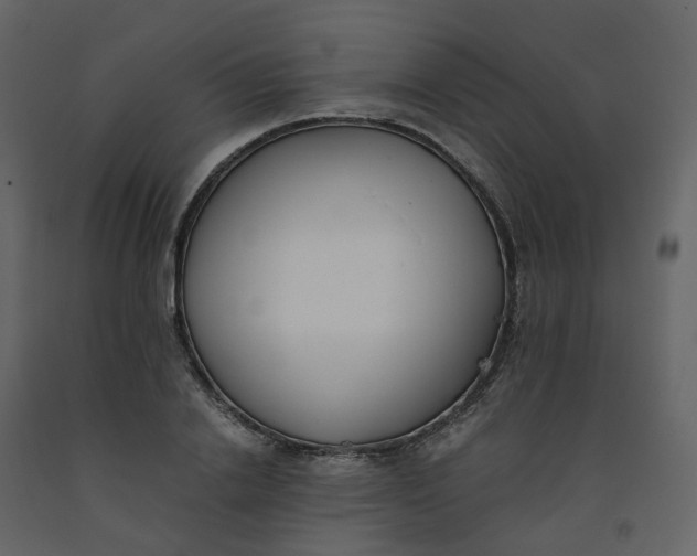 X0000092250838200710051257