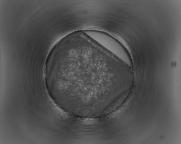 X0000092250839200710051257