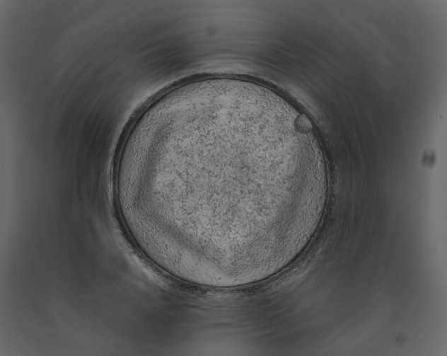 X0000092250840200710051257