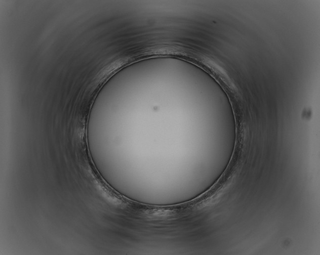 X0000092250841200710051257