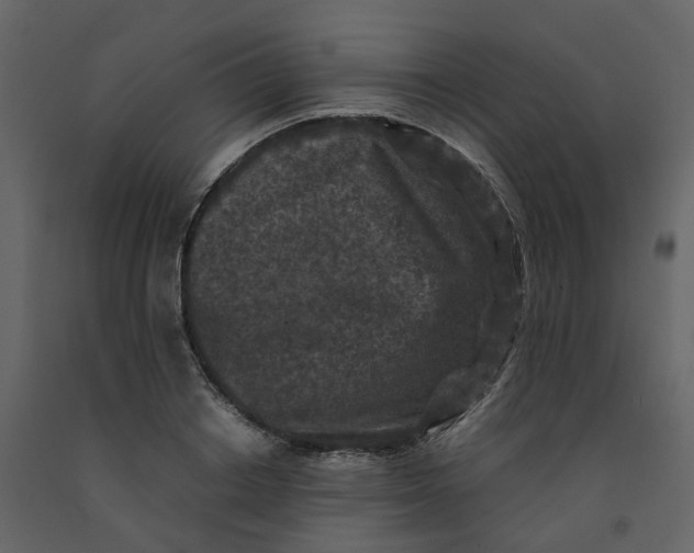 X0000092250842200710051257