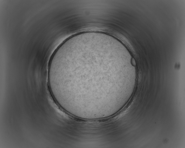 X0000092250844200710051257