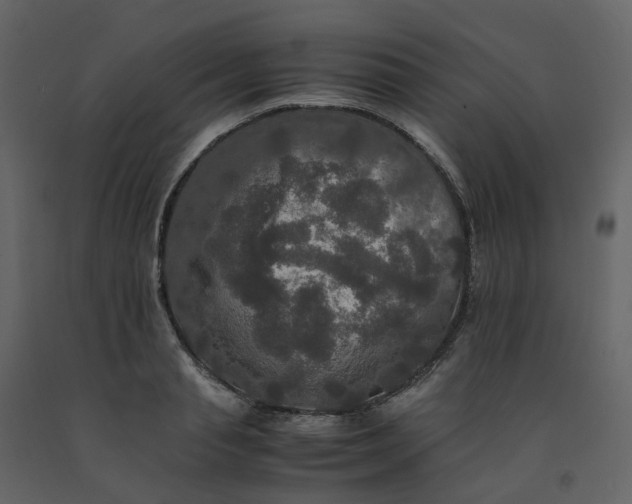 X0000092250845200710051257