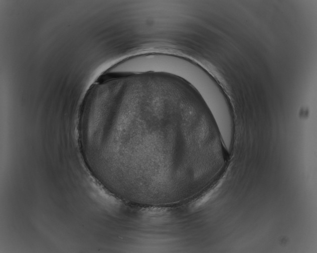 X0000092250846200710051257