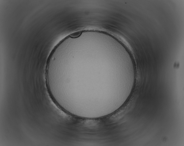 X0000092250847200710051257