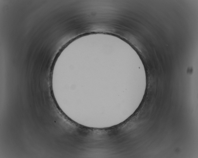 X0000092250848200710051257