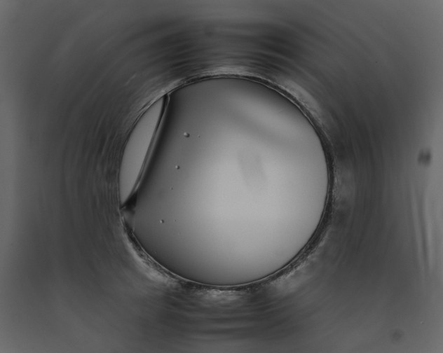 X0000092250849200710051257