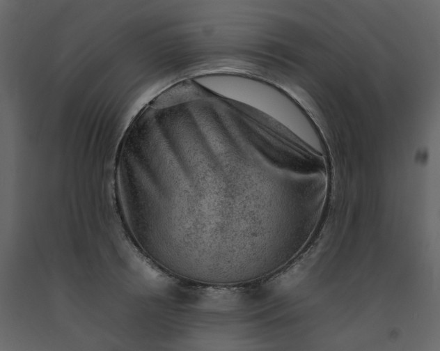 X0000092250850200710051257