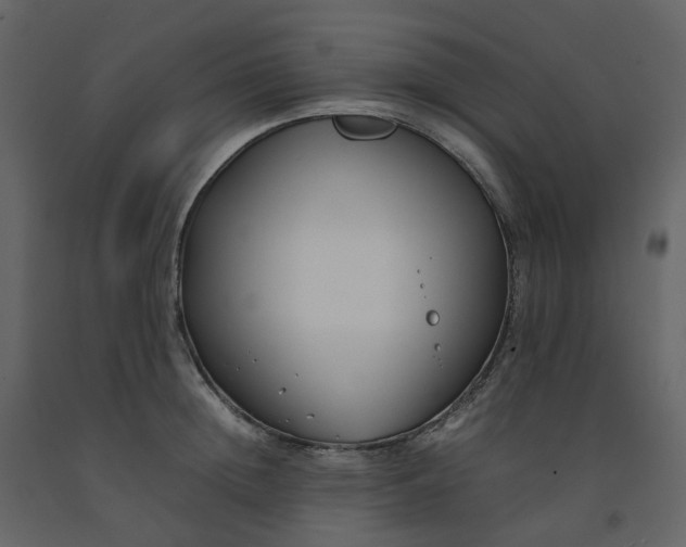 X0000092250852200710051257