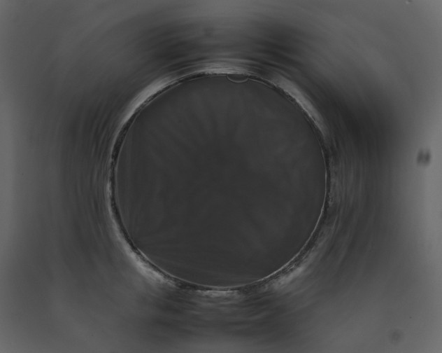 X0000092250853200710051257